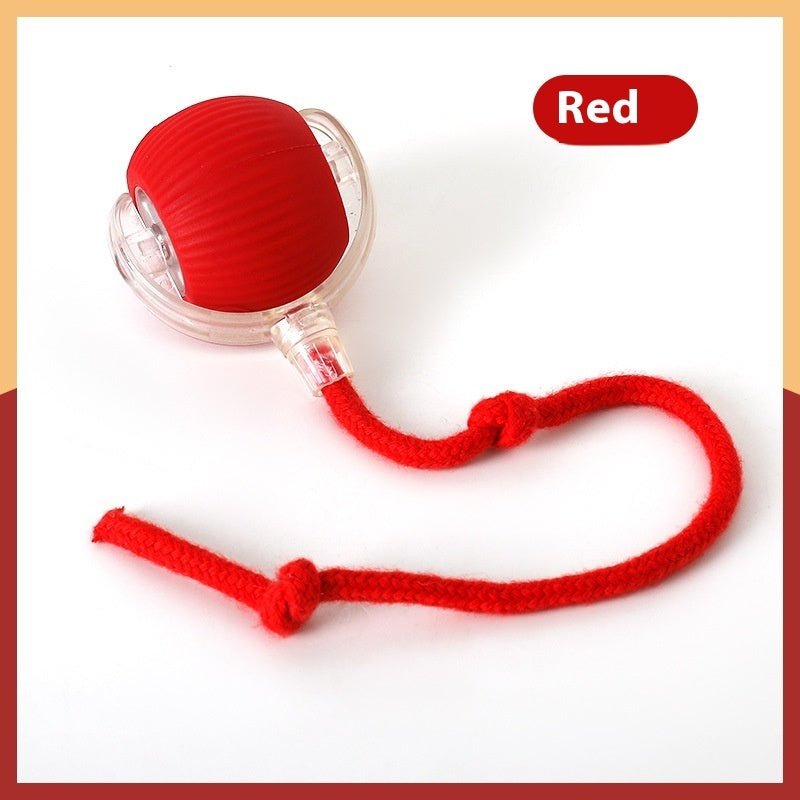 Balle pour chat - OUIOUISHOP