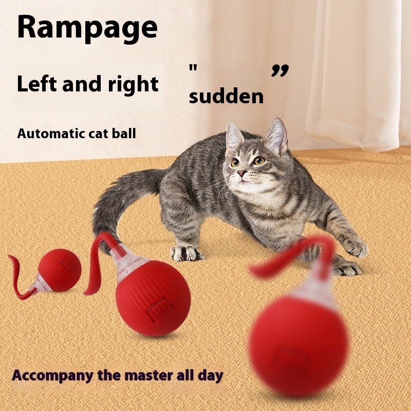 Balle pour chat - OUIOUISHOP