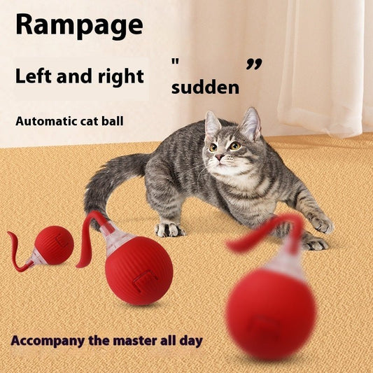 Balle pour chat - OUIOUISHOP